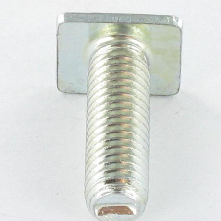 1 x Vite Per Metalli Testa Rettangolare M6X20 9,5X12X2 Zincate