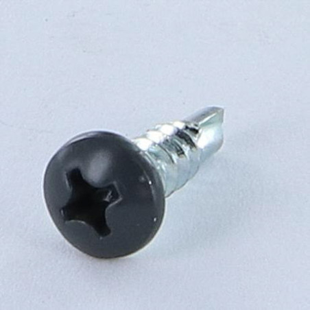 1 x Vite Autoperforante Testa Cilindrica Bombata Phillips 3,9X13 Zincate Ral7016 Grigio Antracite