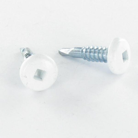 1 x Vite Autoperforante Testa Cilindrica EMPR Quadrato 4,2 x 19 Zincate Ral9010 Bianco Puro