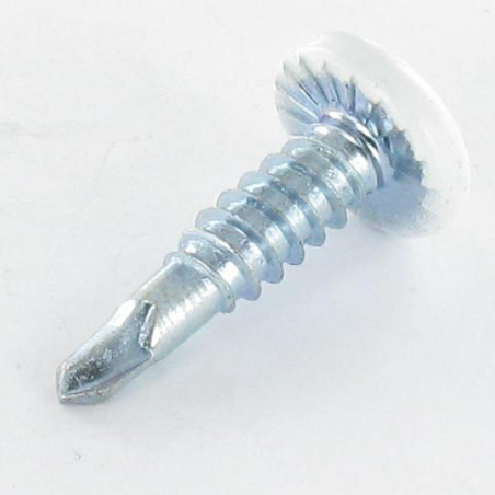 1 x Vite Autoperforante Testa Cilindrica EMPR Quadrato 4,2 x 19 Zincate Ral9010 Bianco Puro
