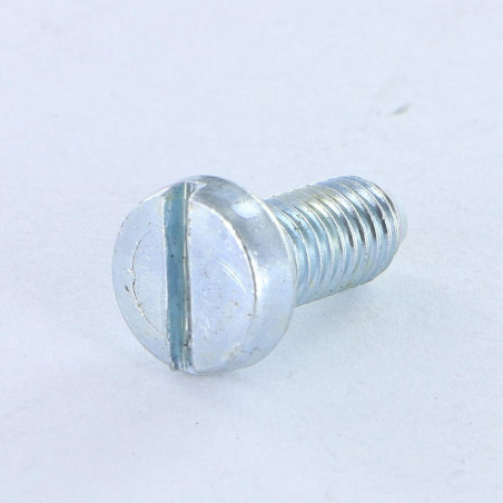 1 x Vite Per Metalli Testa Cilindrica Larga Con Intaglio M5X12 BP Zincate