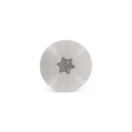 1 x Vite per facciata T20 5,5X35 Diametro Della Testa: 12.3 Acciaio Inox A2 RAL7038