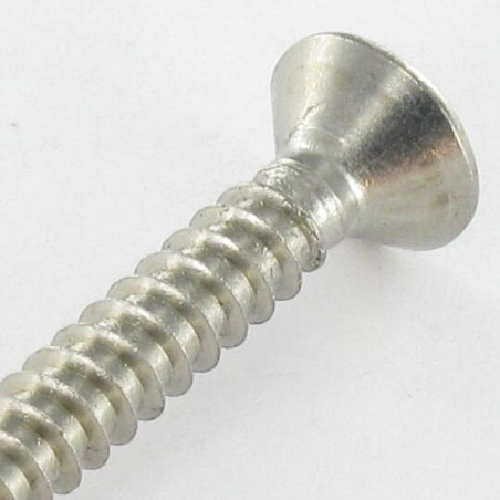 1 x Vite Per Lamiera Testa Forata T20 4,8 x 60 Acciaio Inox A2