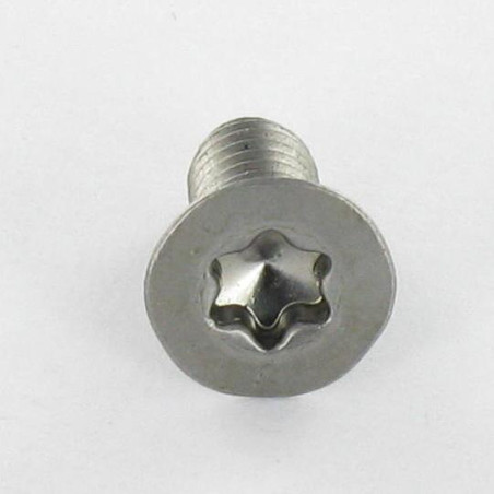1 x Vite Per Metalli Testa Forata T30 M6X25 Classe 10.9 Acciaio Grezzo