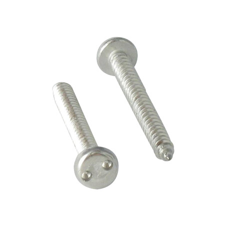 1 x Vite Per Lamiera Di Sicurezza Testa Cilindrica SNAKE EYES 4,2 x 19 Acciaio Inox A2