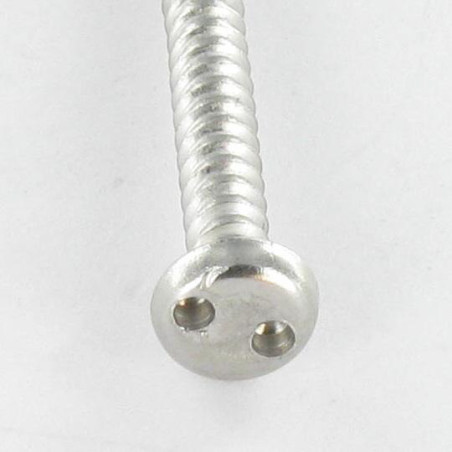 1 x Vite Per Lamiera Di Sicurezza Testa Cilindrica SNAKE EYES 4,2 x 19 Acciaio Inox A2