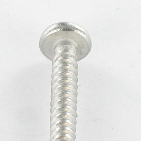 1 x Vite Per Lamiera Di Sicurezza Testa Cilindrica SNAKE EYES 4,2 x 19 Acciaio Inox A2
