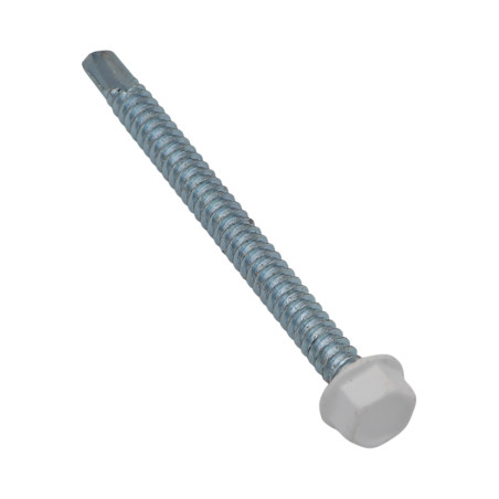 1 x Vite Autoperforante Testa Esagonale 4,8X19 Zincate Laccato Bianco Ral9010 Bianco Puro 80% BRILL