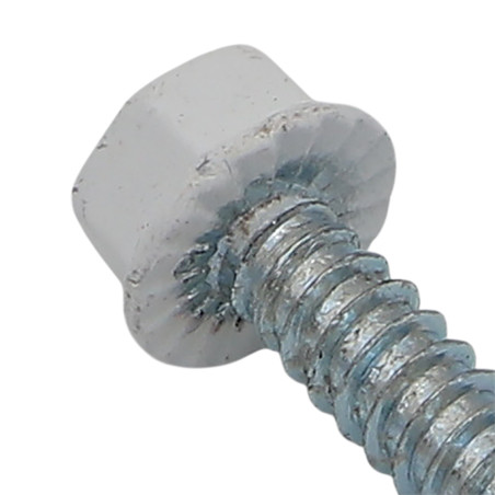 1 x Vite Autoperforante Testa Esagonale 4,8X19 Zincate Laccato Bianco Ral9010 Bianco Puro 80% BRILL