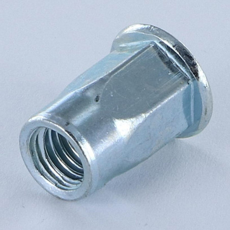 1 x Dadi Rivettabili Testa Piatta M6X16 GOFIX ACPSH30 Zincate