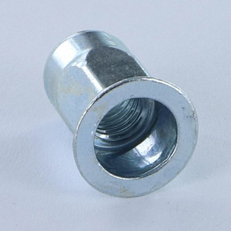 1 x Dadi Rivettabili Testa Piatta M6X16 GOFIX ACPSH30 Zincate