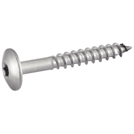 1 x Vite per facciata T20 4.8X25 Diametro Della Testa: 12.3 Acciaio Inox A2