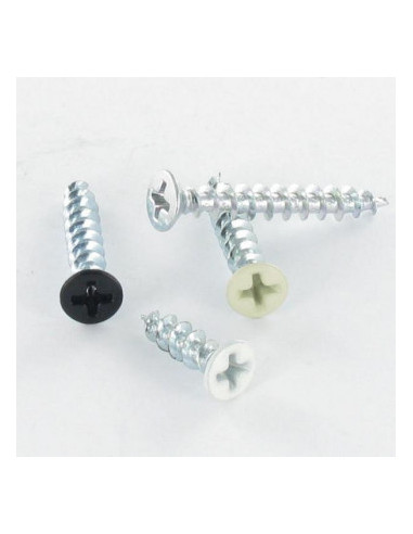 1 x Vite Per Pvc 30 Testa Forata Phillips...