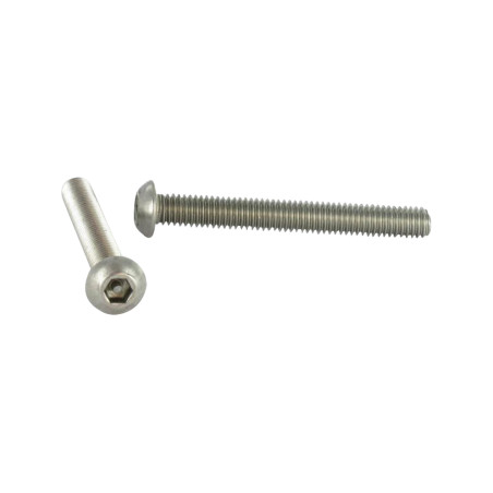 1 x Vite Per Metalli Di Sicurezza Bei (Testa Bombata Esagono Incassato) con perno M4X10 Acciaio Inox A2