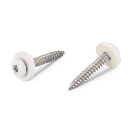 1 x Vite Per Lamiera Testa Cilindrica T15 + Rondella Nylon 3,9X25 Acciaio Inox A2 Bianco