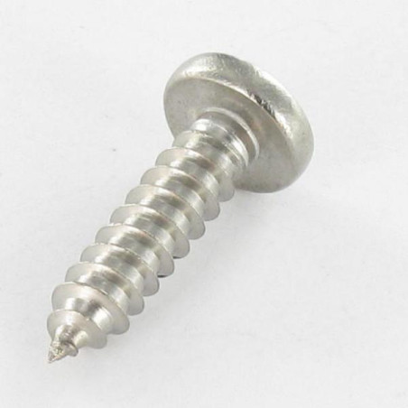 1 x Vite Per Lamiera Testa Cilindrica Quadrato 3,9X19 Ingombro quadrato 2 Acciaio Inox A2
