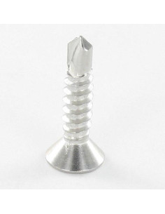 Vite Autoperforante Acciaio Inox A2 Testa Forata 3,5X25 T10 2