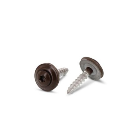1 x Vite di cresta Testa Forata Bombata T20 Acciaio Inox A2 Ral8014 Marrone Seppia 4,5X45 Rondella Di Tenuta Con