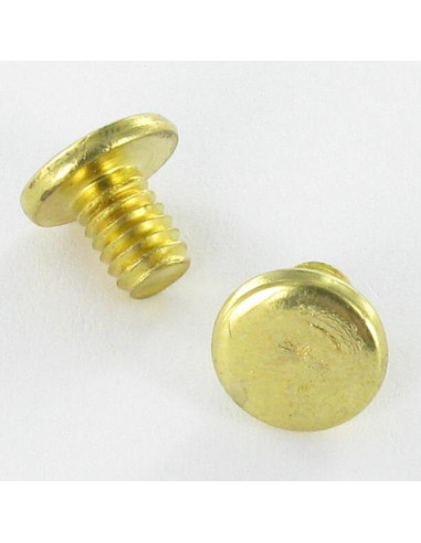 1 x PERSICA Acciaio Ottonato Testa Piatta 4,3X6 T9
