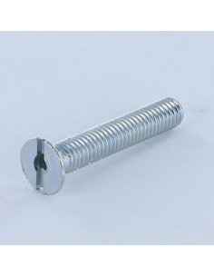 Vite Per Metalli Testa Forata Con Intaglio M6X35 Forata...