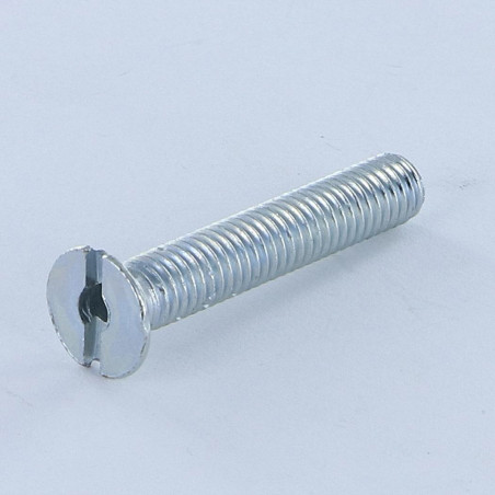 1 x Vite Per Metalli Testa Forata Con Intaglio M6X35 Forata Zincate