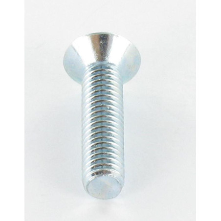 1 x Vite Per Metalli Testa Forata T20 M5X8 T20 Zincate