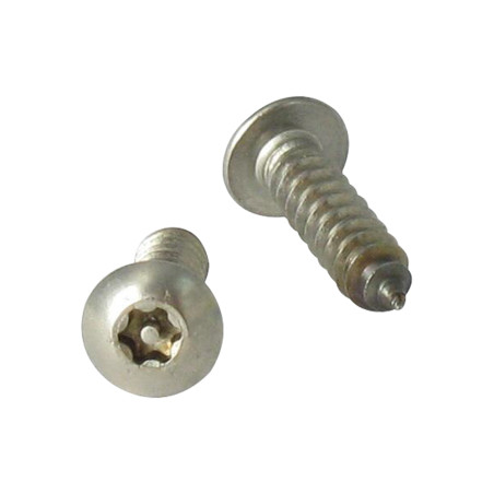 1 x Vite Per Lamiera Di Sicurezza Acciaio Inox A2 Testa Cilindrica T25 con perno 4,8X32