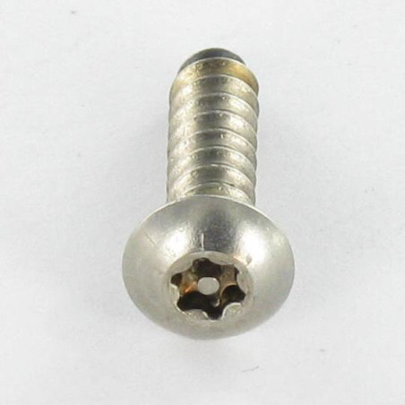 1 x Vite Per Lamiera Di Sicurezza Acciaio Inox A2 Testa Cilindrica T25 con perno 4,8X32