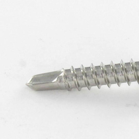 1 x Vite Autoperforante Testa Cilindrica Bombata T20 4.2X32 Acciaio Inox A2