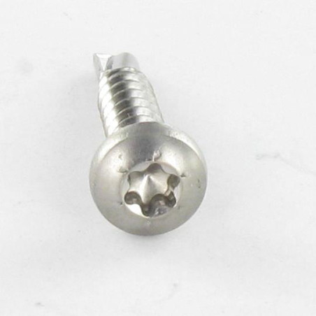 1 x Vite Autoperforante Testa Cilindrica Bombata T20 4.2X32 Acciaio Inox A2