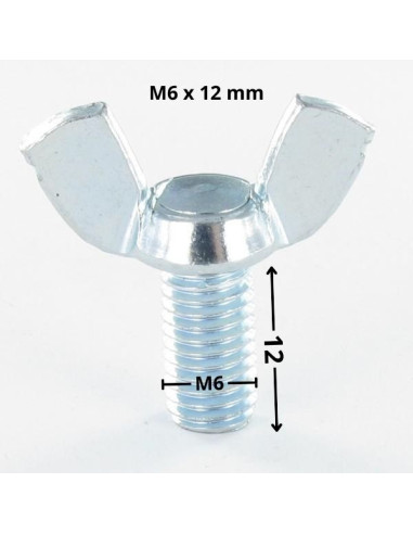 1 x Vite Alette M6X12 Stile Americano Zincate
