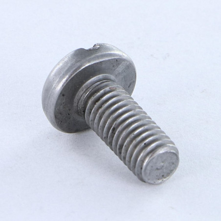 1 x Vite Per Metalli Testa Cilindrica Larga Con Intaglio M2X5 Acciaio Grezzo microviti