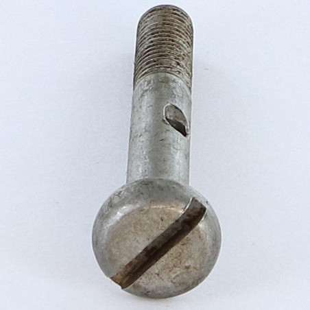 1 x Vite Per Metalli Testa Cilindrica Larga Con Intaglio M8X60 Forata 3.8 Acciaio Grezzo