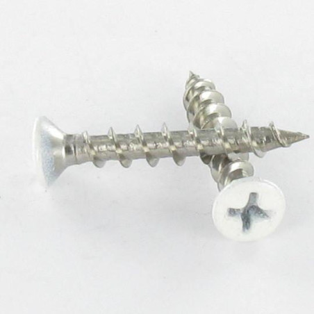 1 x Vite Per Pvc Acciaio Inox A2 Testa Forata Bombata Phillips 4,2 x 25 Laccato Bianco Ral9010 Bianco Puro