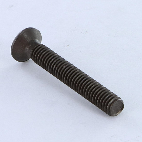 1 x Vite Per Metalli Testa Forata Bombata Pozy M5X40 Acciaio Zincato Nero