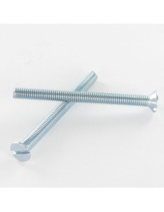 Vite Per Metalli Testa Forata Con Intaglio M4X25 Zincate