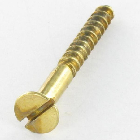 1 x Viti Per Legno Testa Forata Con Intaglio 2,5X10 Acciaio Ottonato microviti