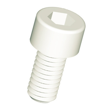1 x Vite Per Metalli A Esagono Incassato Chiave Esagonale Da 2 M3X5 naturale nylon