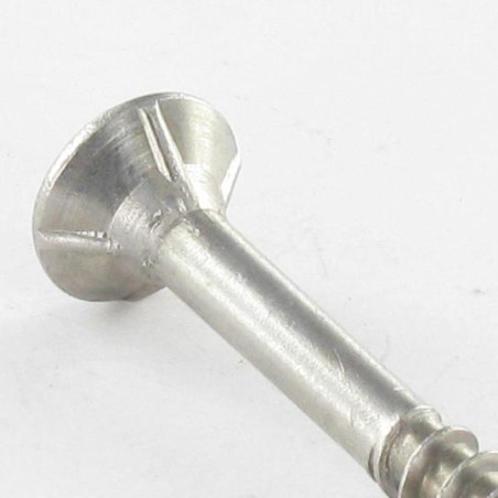 1 x Vite Per Legno E Truciolato Vite Autoperforante Testa Forata Dentellato 5X100 T25 Acciaio Inox A2