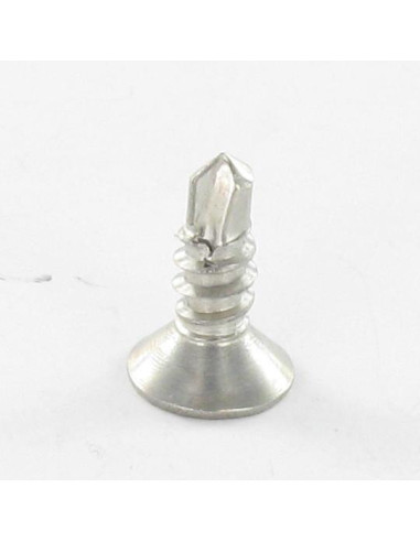 1 x Vite Autoperforante Acciaio Inox A2 Testa...