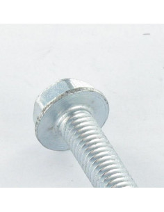 Vite Autofilettante Testa Esagonale Flangia Liscio M3X8... 2