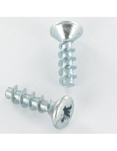 1 x Vite Per Pvc Testa Forata Bombata Pozy 3X10...