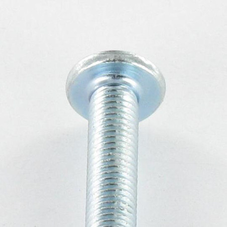 1 x Vite Per Metalli Testa Bombata Large Pozi PZ5 / Con Intaglio M5X60 Zincate