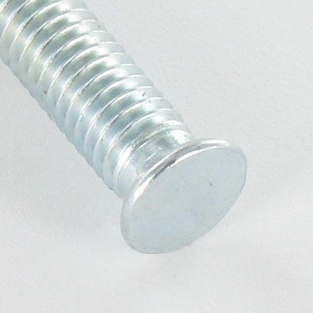 1 x Vite Per Metalli Testa Forata Dentellato M6X25 Diametro Della Testa: 8.5 Zincate