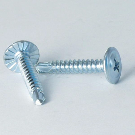 1 x Vite Autoperforante Testa Poelier Larga Phillips Dentellato 4,2 x 13 Zincate