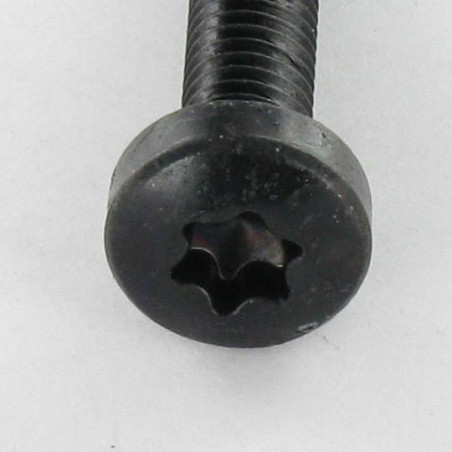 1 x Vite Autofilettante testa bombata larga M4X8 T20 Acciaio Zincato Nero
