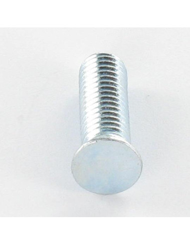 1 x Vite A Rivetto M4X15 Zincate