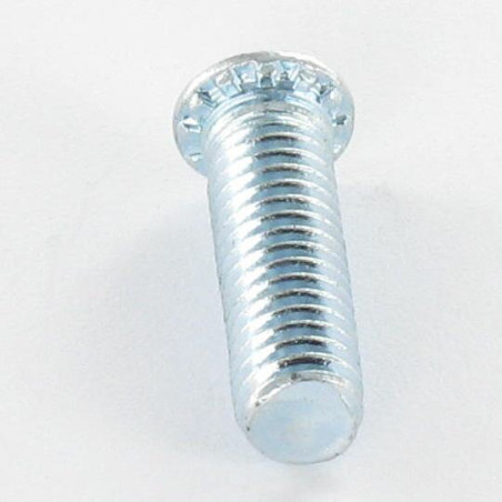 1 x Vite A Rivetto M4X15 Zincate