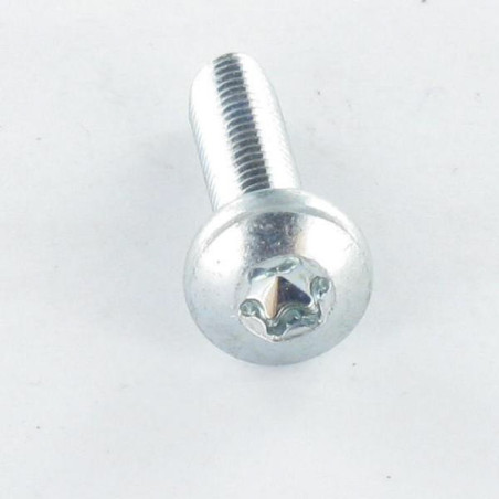 1 x Vite Autofilettante testa bombata larga M3X30 T10 Zincate microviti