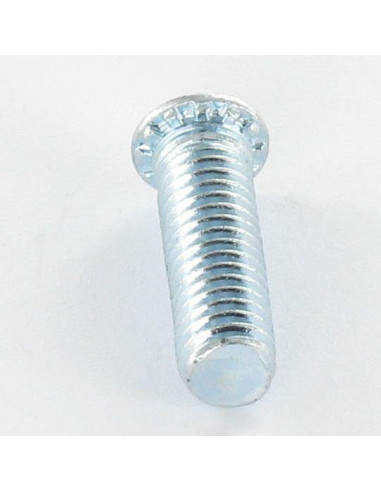 1 x Vite A Rivetto M5X12 Zincate